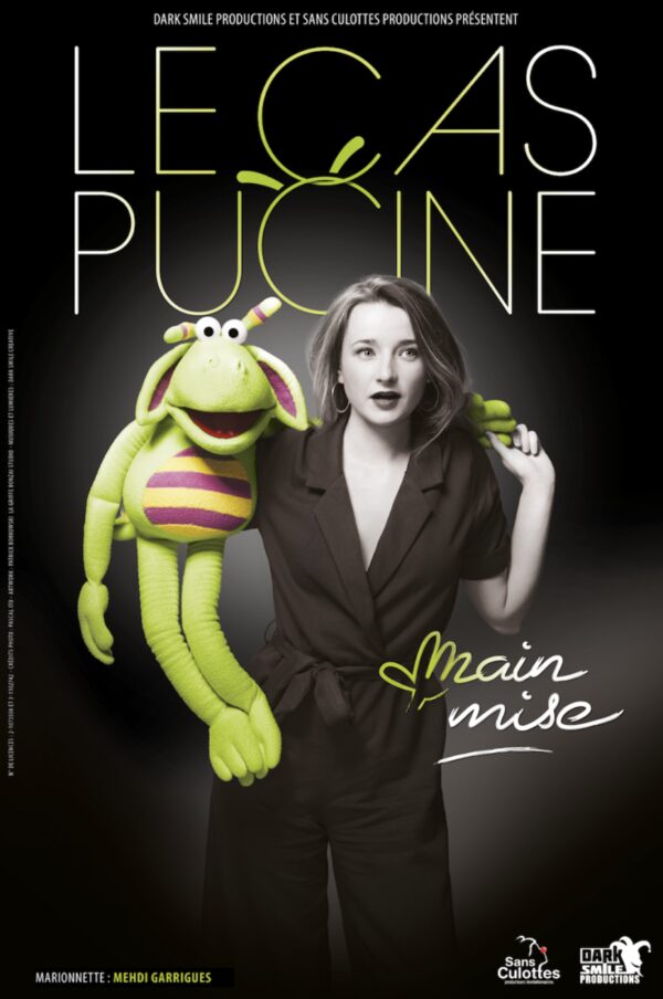 Affiche Le Cas Pucine — Mainmise